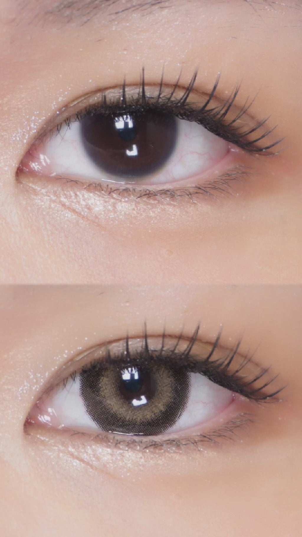 Pink Label Big Ring Brown