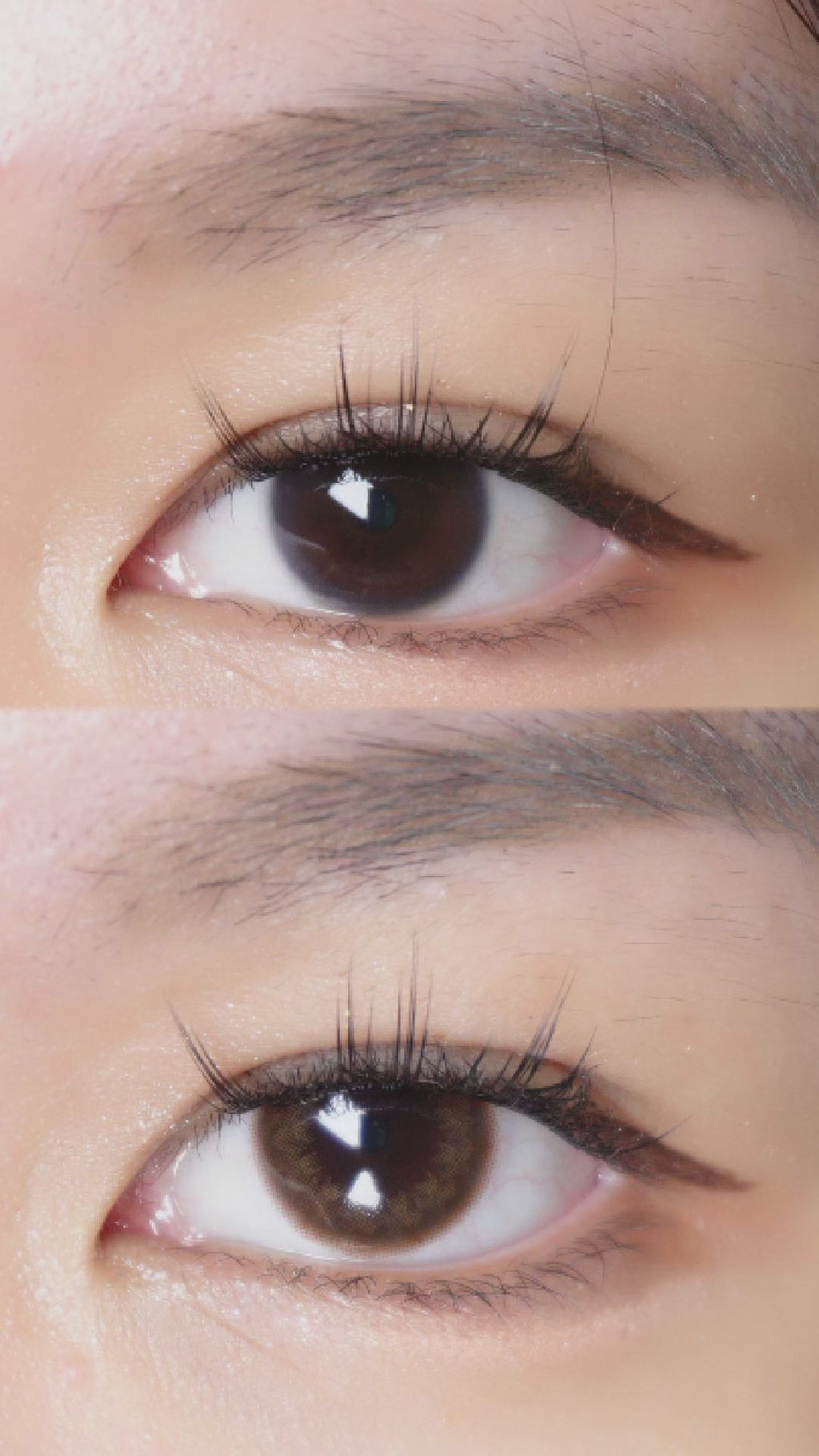 Pink Label Truffle Brown (Custom Toric for Astigmatism)