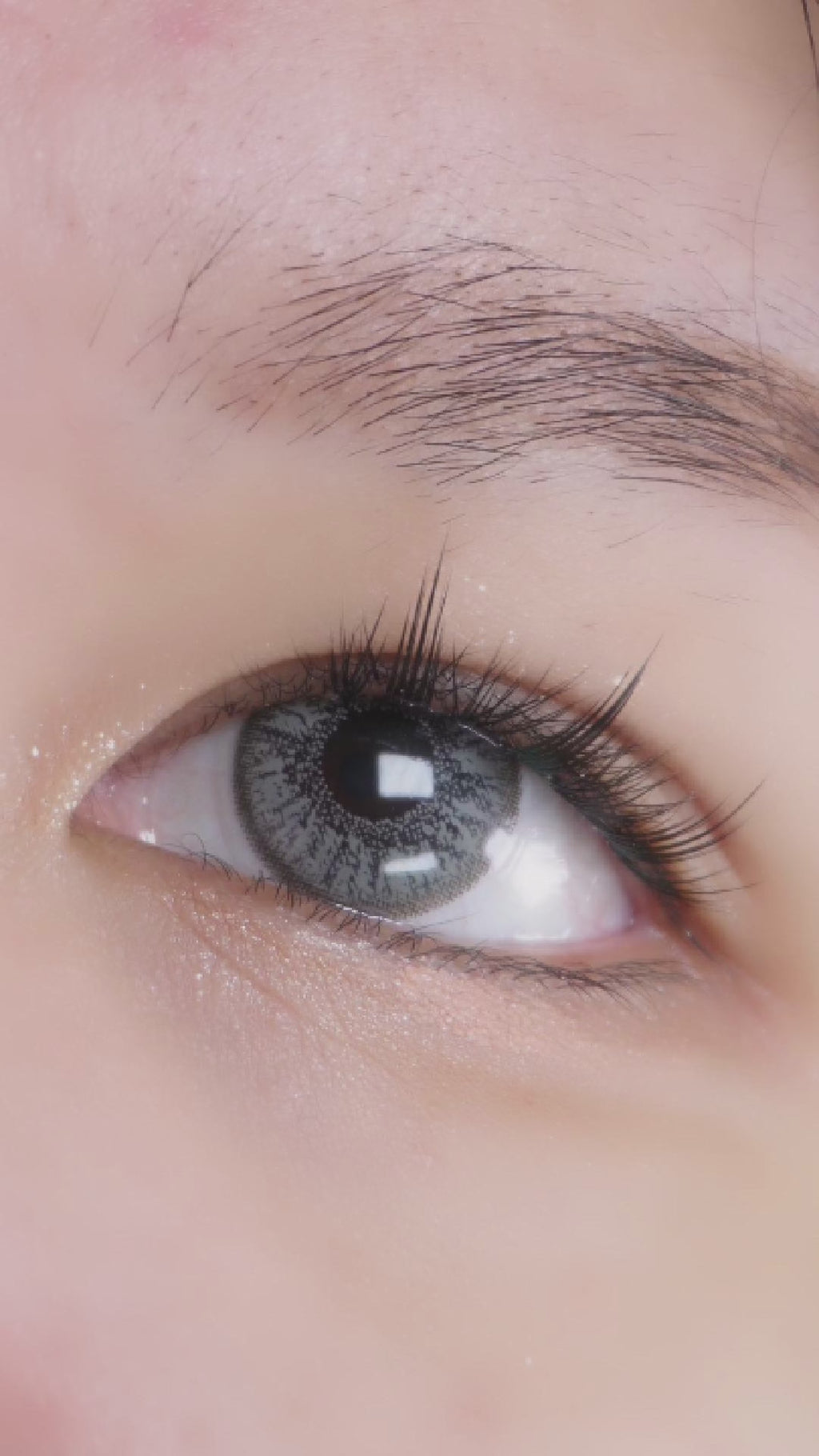 Pink Label Eyelighter Grey (Custom Toric for Astigmatism)