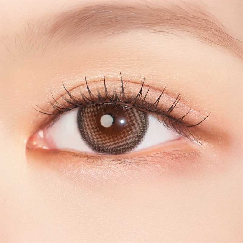 IRIS Mimosa Brown