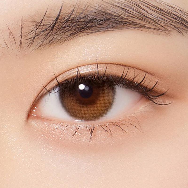 Daymood 1-Day Brown (10pk)
