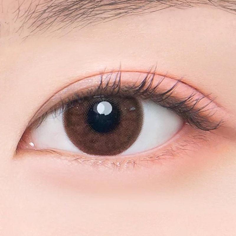Epic 1-Day Brown (10pk)