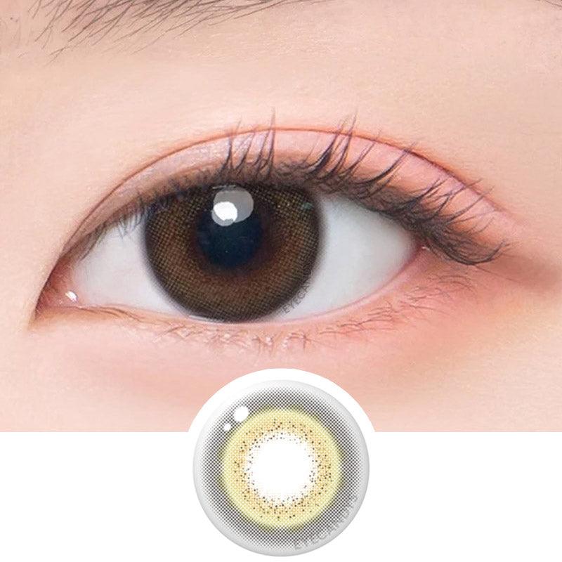 Jinju 1-Day Brown (10pk)