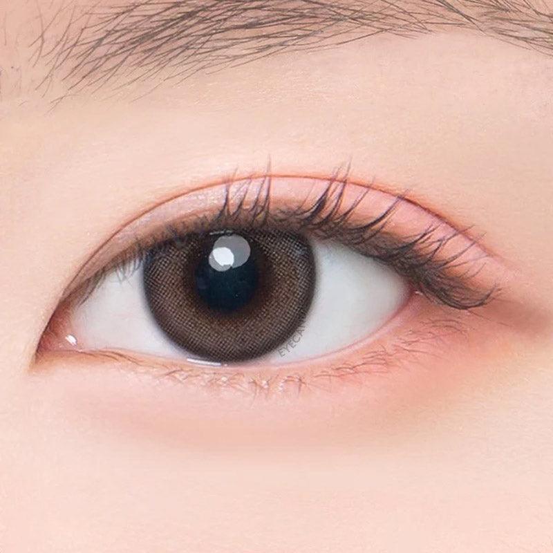 Jinju 1-Day Grey (10pk)