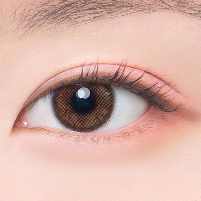 Jinju Shell 1-Day Brown (10pk)