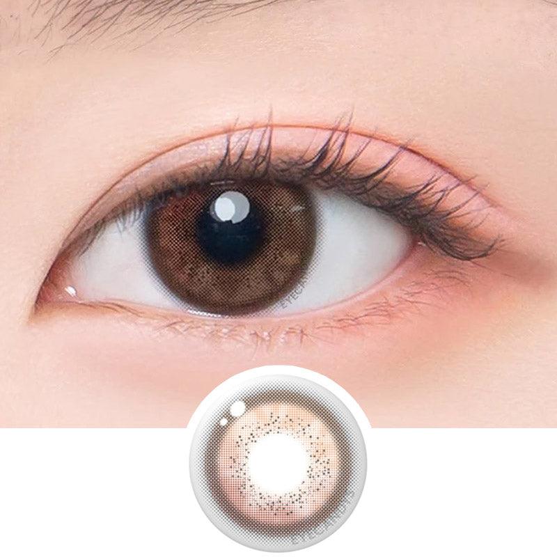 Jinju Shell 1-Day Brown (10pk)