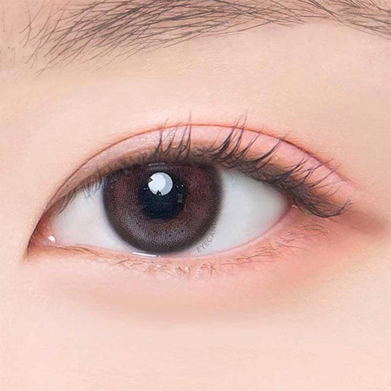 Jinju Shell 1-Day Burgundy (10pk)