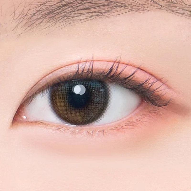 Jinju Shell 1-Day Grey (10pk)