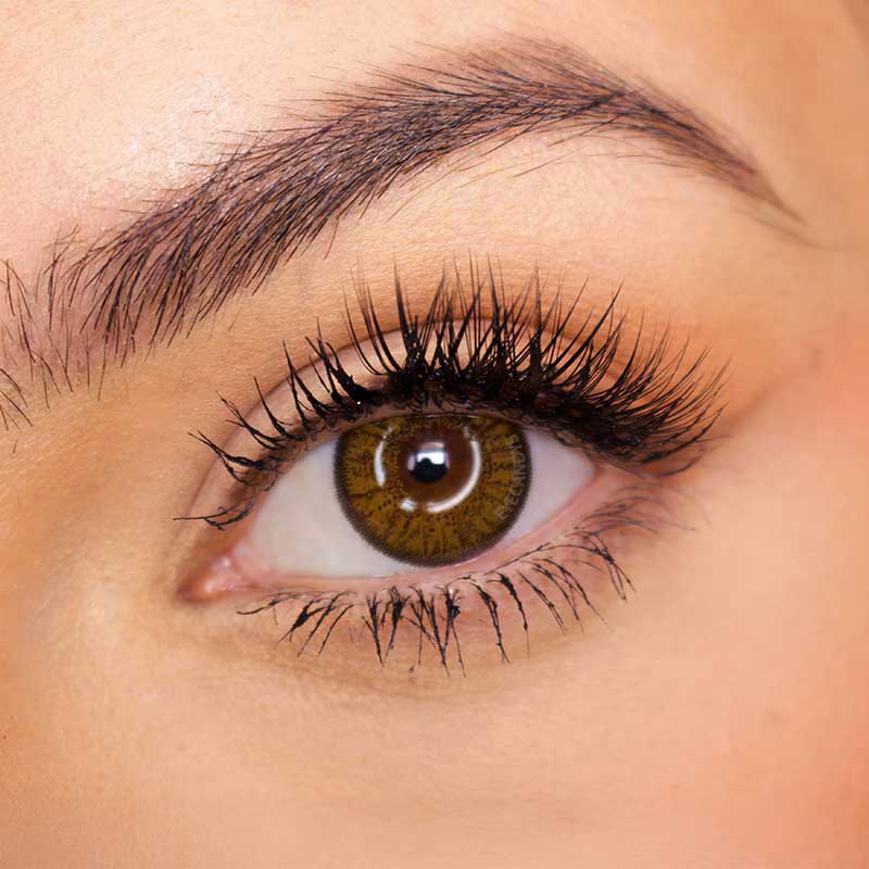 Pink Label Eyelighter Brown (Custom Toric for Astigmatism)
