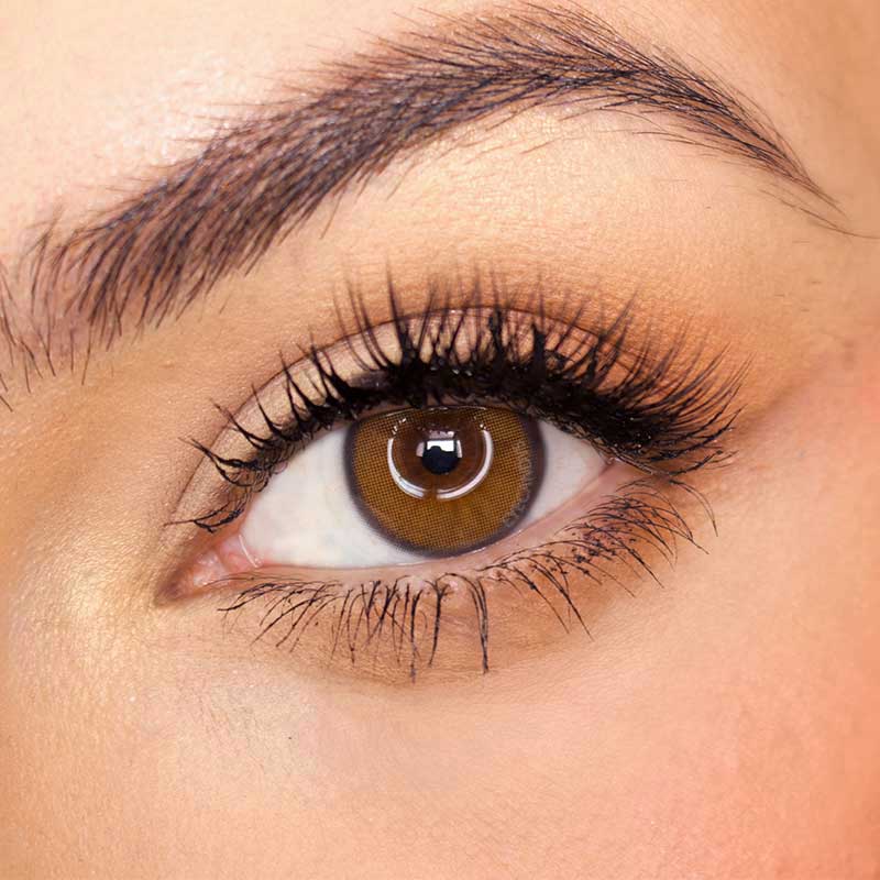 Pink Label Honey Donut Brown (Custom Toric for Astigmatism)