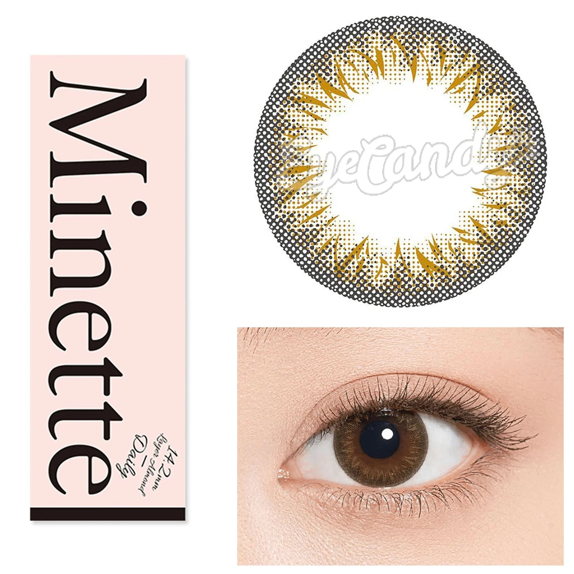 1-Day Layer Almond Brown (10pk)