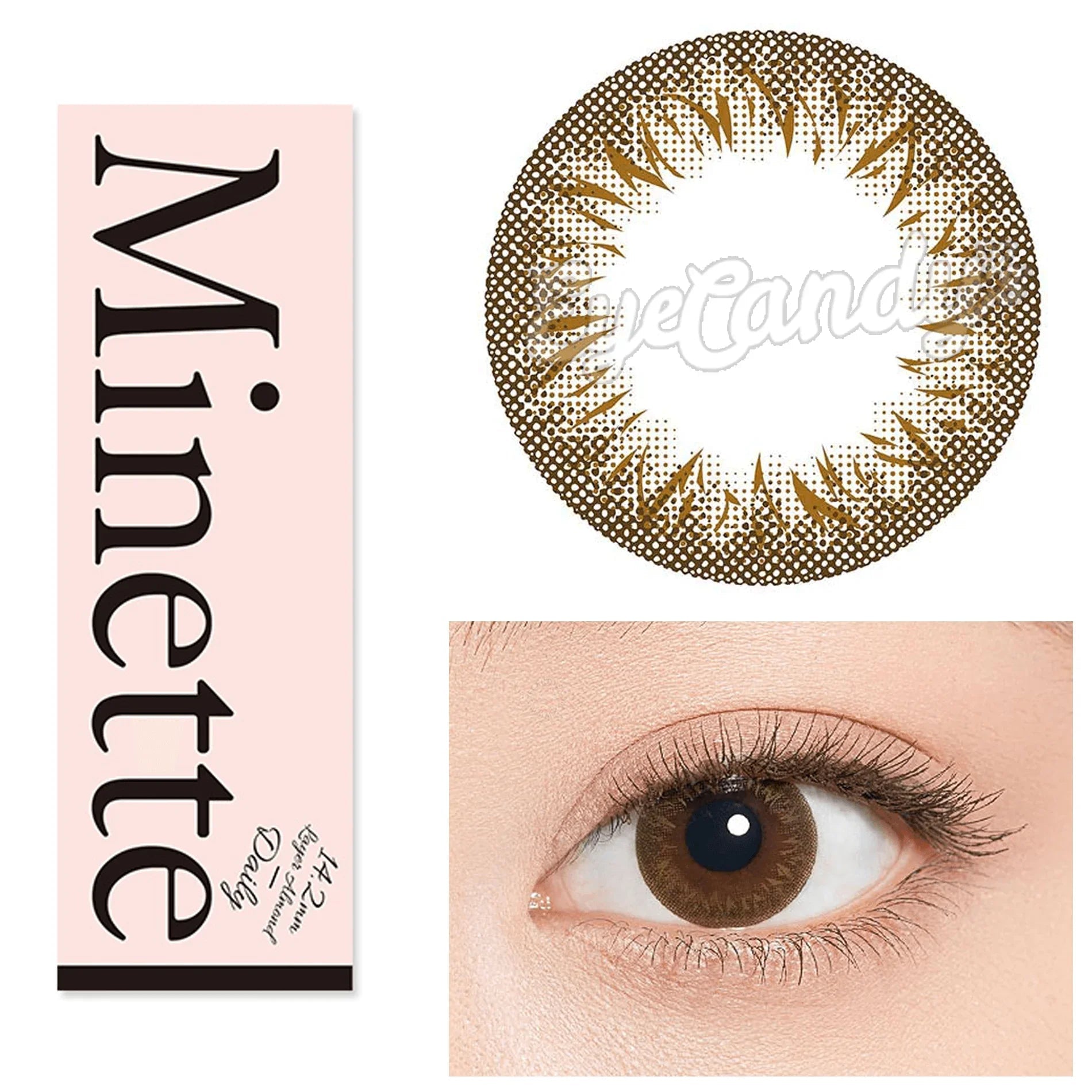 1-Day Layer Marron Brown (10pk)