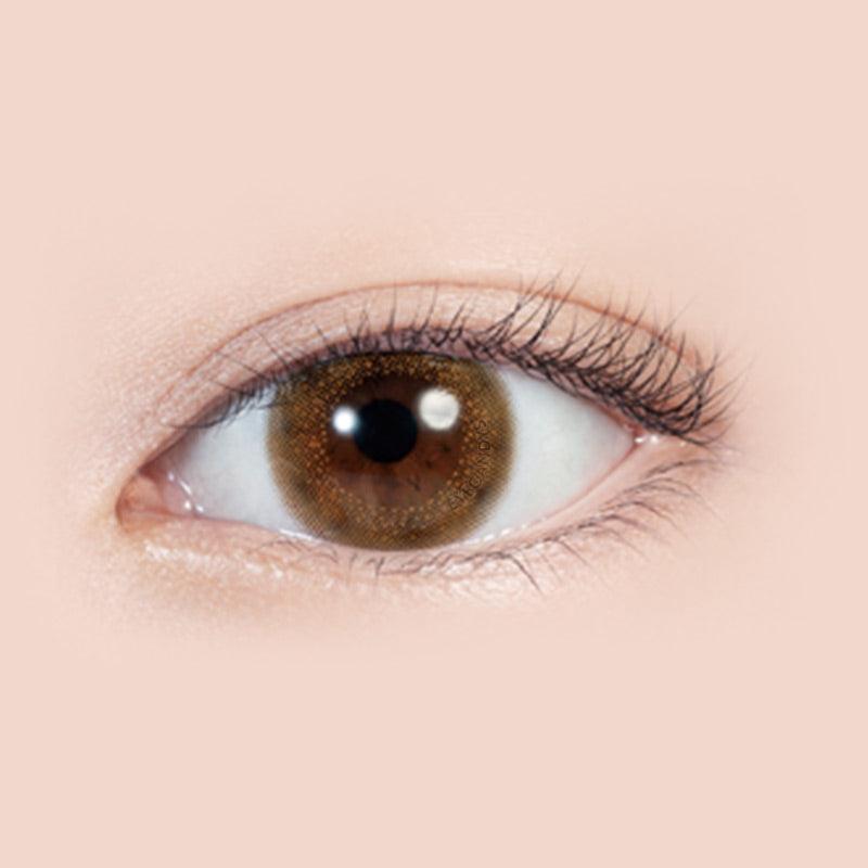1-Day Rusty Beige (10pk)