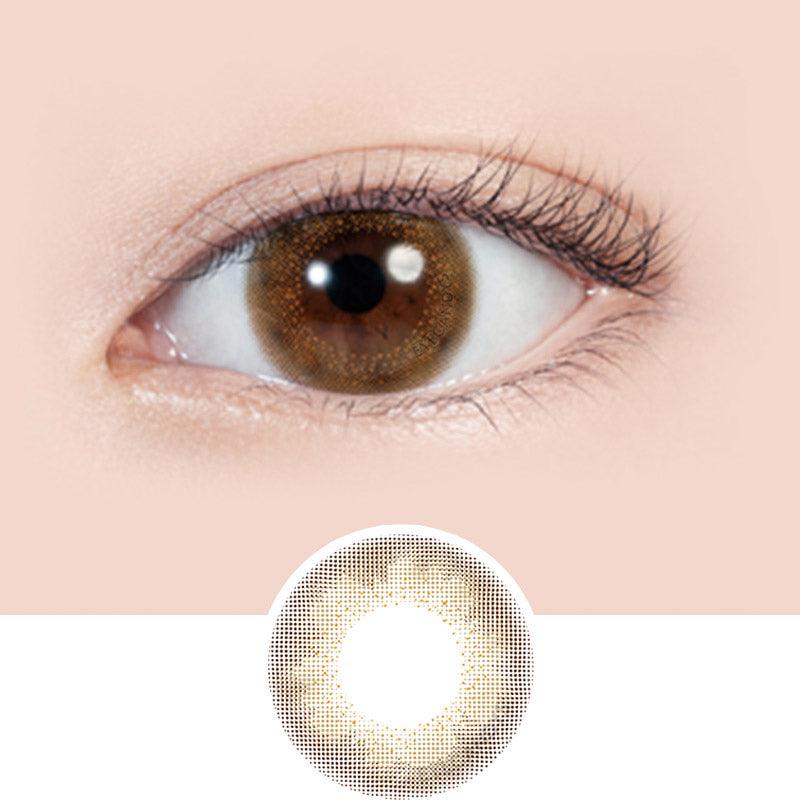 1-Day Rusty Beige (10pk)