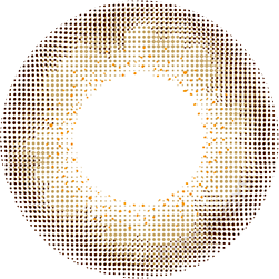 1-Day Rusty Beige (10pk)