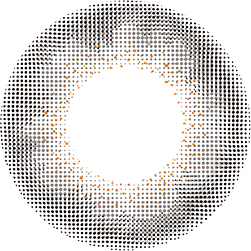Monthly Rusty Grey (Prescription)
