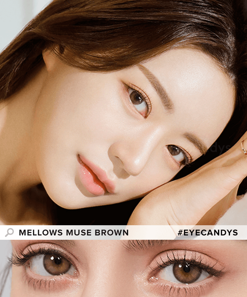 Mellows 1-Day Muse Brown (10pk)