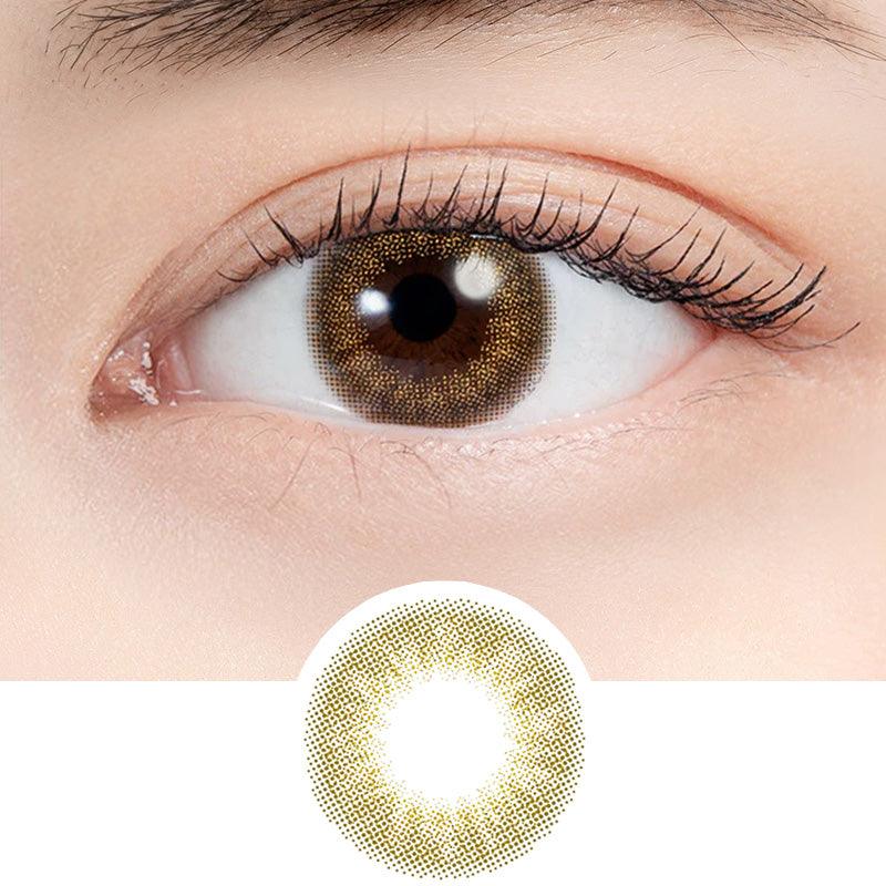 Hojicha Latte Brown (10pk)