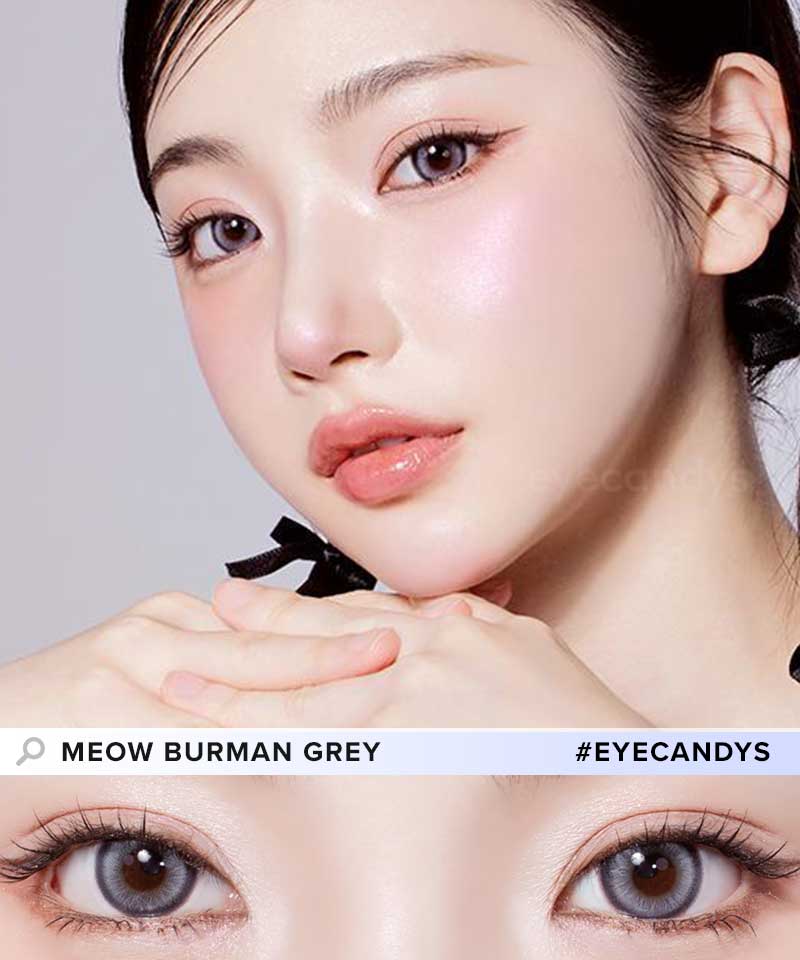 Meow Vivid Burman Grey