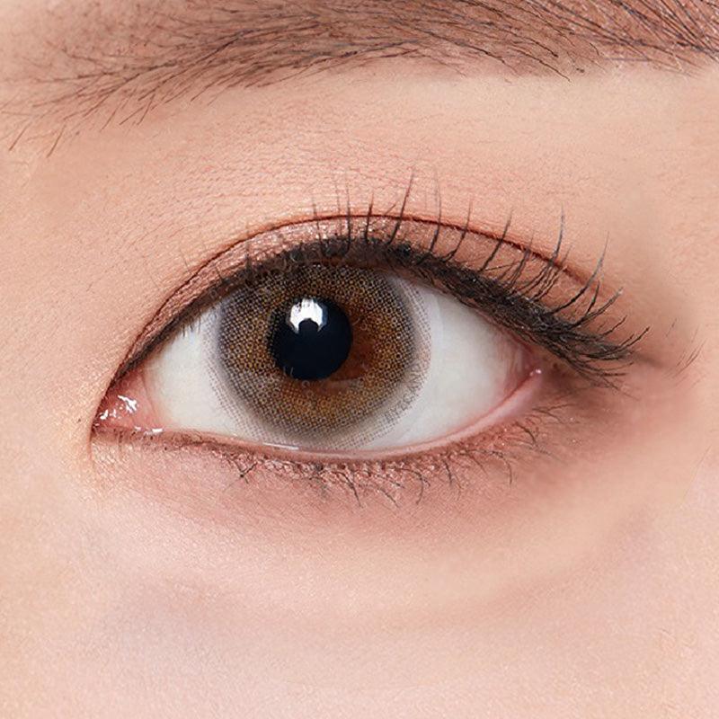 1-Day Able Grey (10pk)