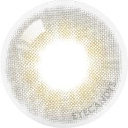1-Day Able Grey (10pk)