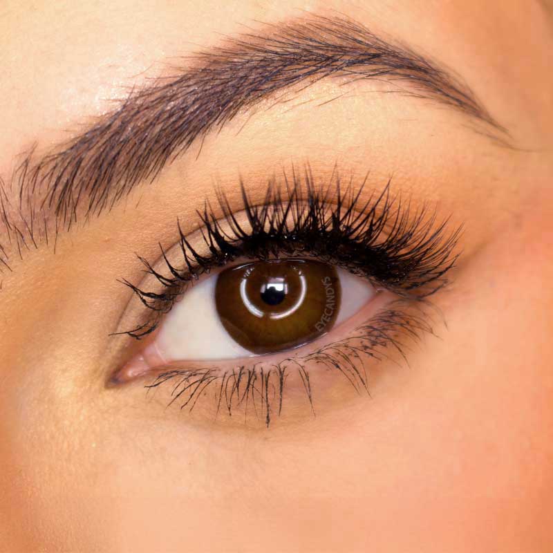 Pink Label Pointe Choco (Custom Toric for Astigmatism)