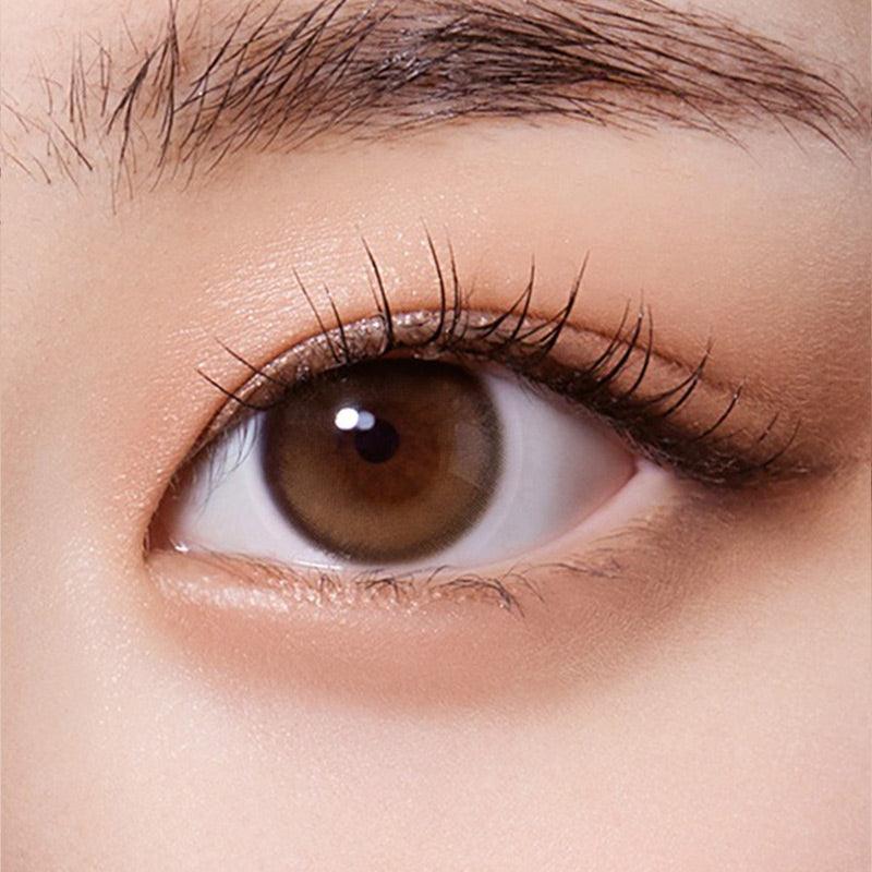Purity Shine 1-Day Hazel Brown (10pk)