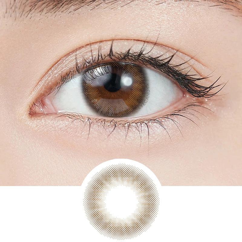 1-Day Garnet Brown (10pk)