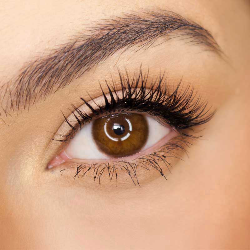 Pink Label Truffle Brown (Custom Toric for Astigmatism)