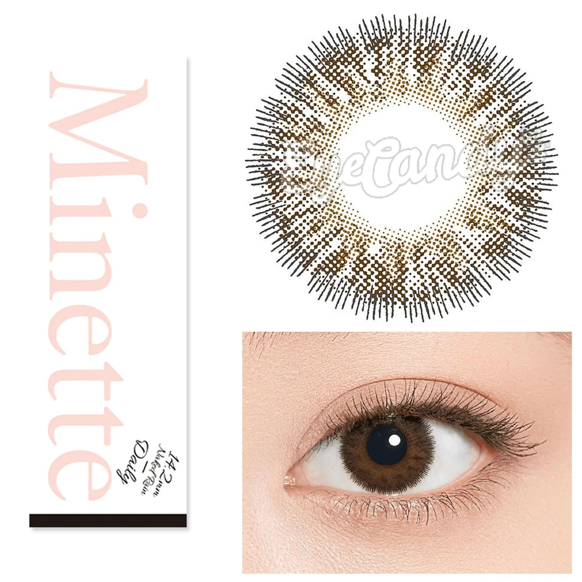 1-Day Virgin Cocoa Brown (10pk)
