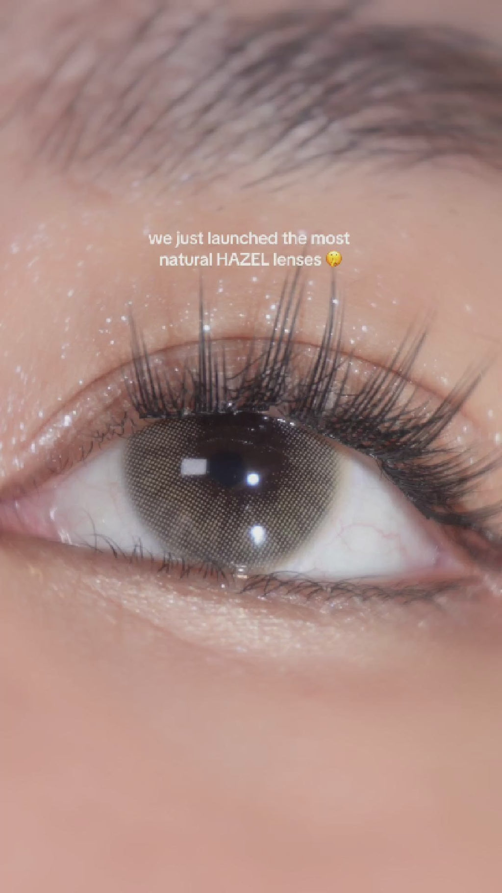 Glossy Hazel