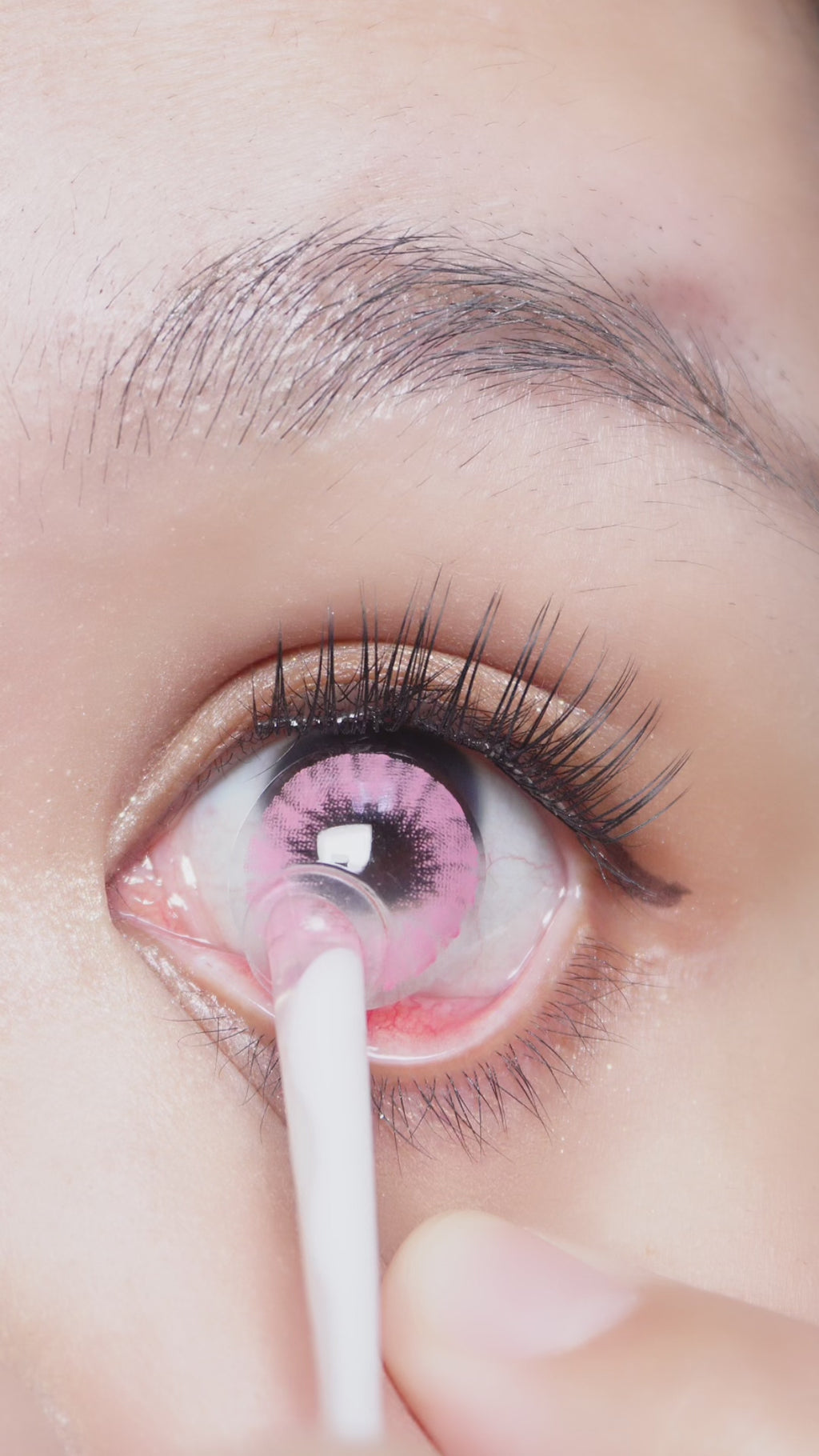 Shade Pink