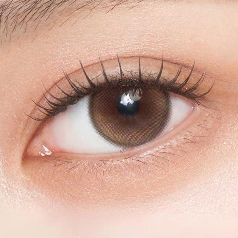 Demeter 1-Day Amber Brown (10pk)