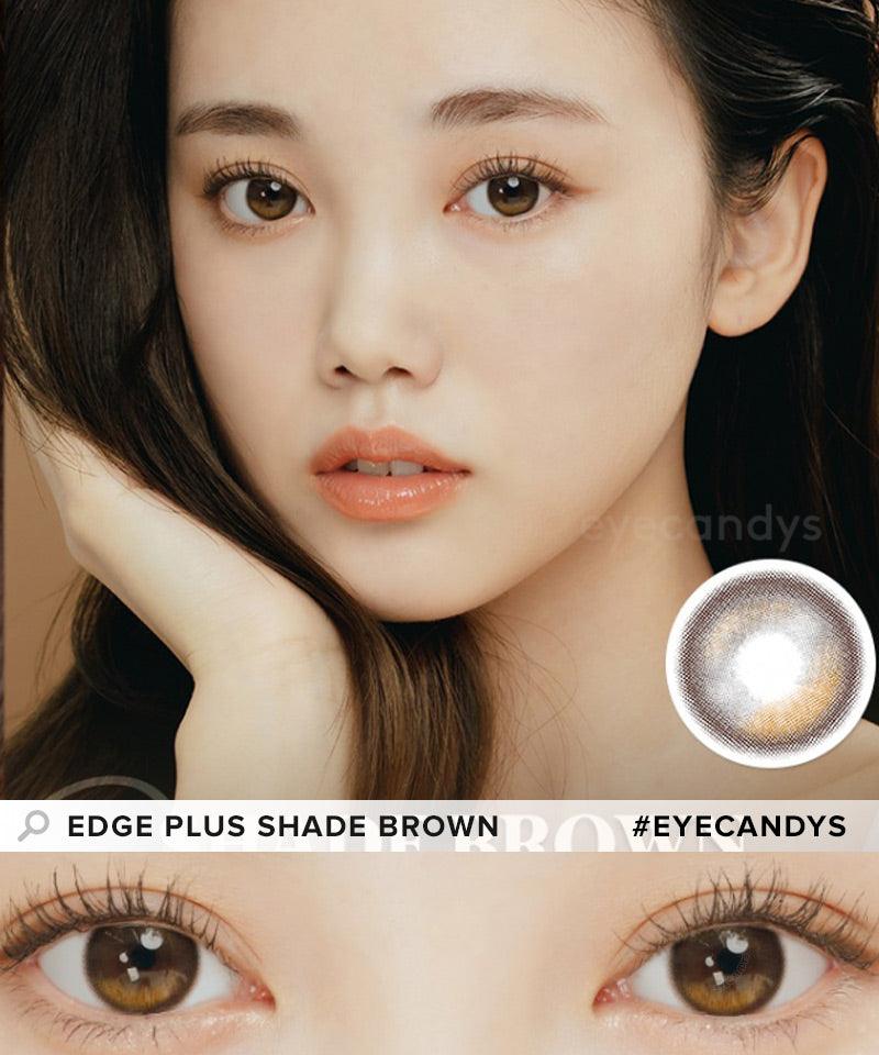 Everyday Glam Dailies Set (5 Boxes)