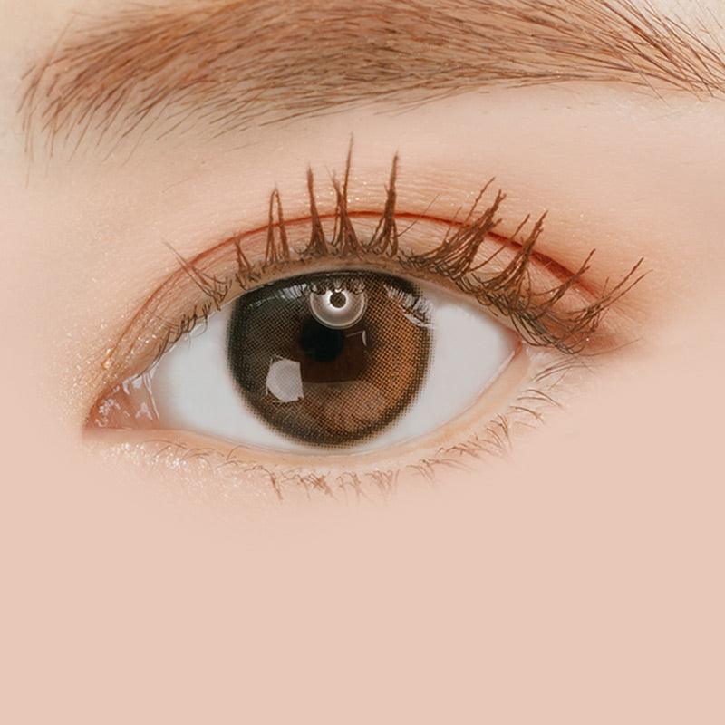 1-Day Oriana Shade Grey (10pk)