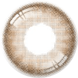 Serenity 1-Day Brown (10pk)
