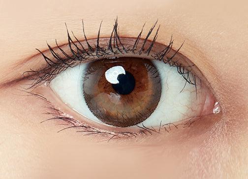 Freshlook Illuminate 1-Day (30pk) Rich Brown