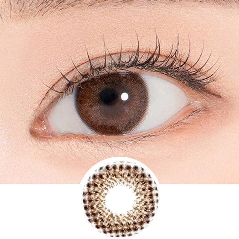 Hibiscus Rich Brown