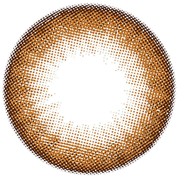 Snug Brown