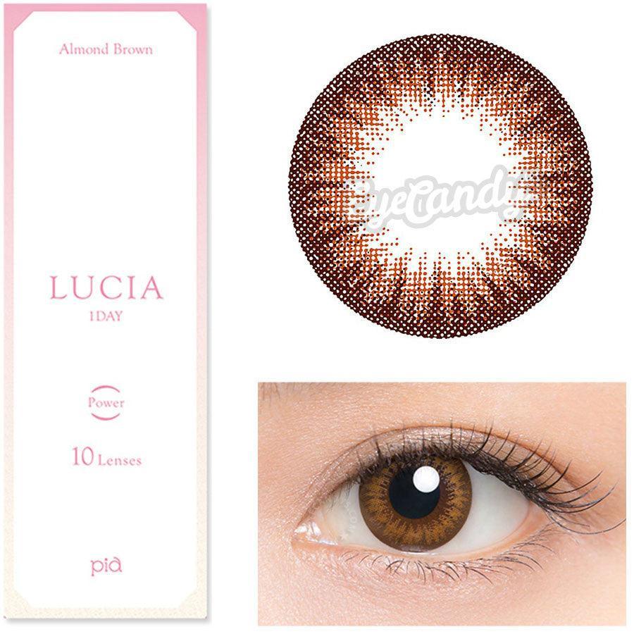 1-Day Almond Brown (10pk)