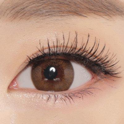 Extra Dali Brown (Custom Toric for Astigmatism)