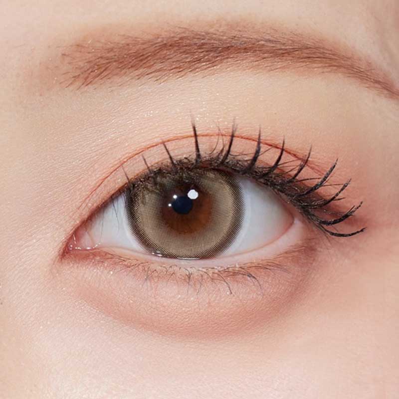 Glint 1-Day Brown (10pk)